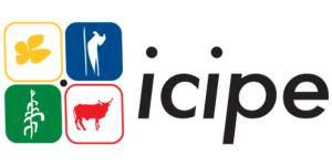ICIPE 2